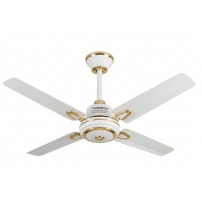 Nasco Ventilateur Plafonnier - Ck24-01N - 24'' - 60W - Blanc-Dore - 4 Helices - 220V-50Hz