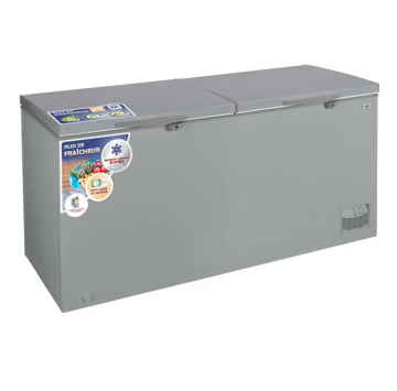 NASCO - Congélateur Horizontal NAS-900FL-DD - 900 Litres - 2 Portes