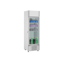 HISENSE REFROIDISSEUR 222 LITRES – FL-30FC